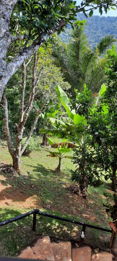 Suites Casinha Do Alto Da Bocaina Sao Pedro da Serra  Eksteriør bilde