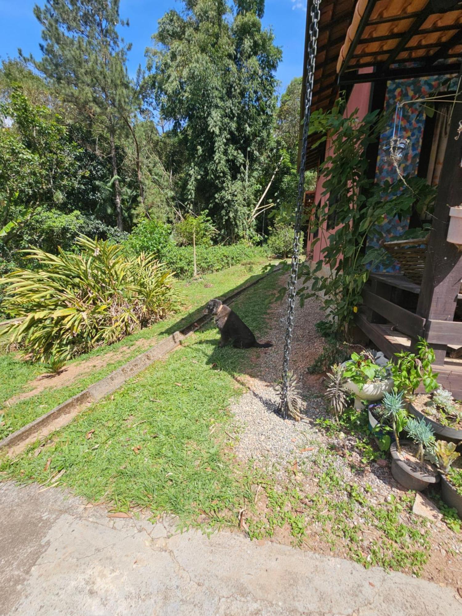 Suites Casinha Do Alto Da Bocaina Sao Pedro da Serra  Eksteriør bilde